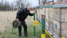 Petr Eminger z Lomu na Mostecku se včelaření věnuje šest let. Je také majitelem...