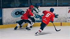 rink bandy, ilustraní foto