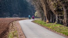 Asfaltku od Hradce Králové do Vysoké vyuívají u tisíce brusla i cyklist...