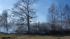Hasii zasahovali u rozsáhlého poáru lesa na Bruntálsku. (1. dubna 2019)