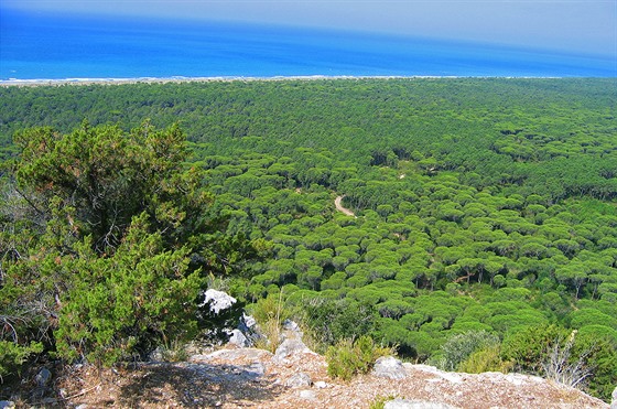 Prodn park Maremma, vhled od ve Castelmarino k pobe