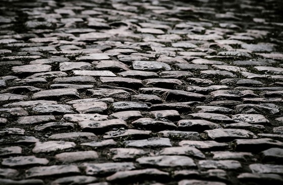 Kostky v nechvaln� proslulém Arenbergském lese.