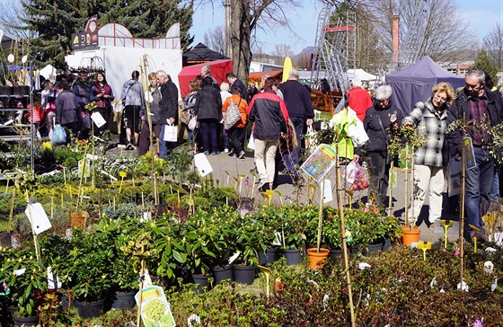 Největší jarní zahradnický veletrh v kraji právě začíná, spojené výstavy...