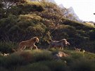 Trailer k filmu Lví král