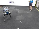 Robot ANYmal se uí chodit pomocí neuronových sítí