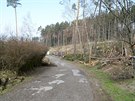 Fotografie jednoho z mst olomouck zoologick zahrady na Svatm Kopeku pot,...