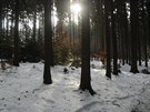 Fotografie jednoho z mst olomouck zoologick zahrady na Svatm Kopeku...