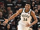 Janis Adetokunbo z Milwaukee se domáhá faulu.