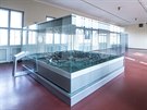 Muzeum v Hradci Krlov je dlem architekta Jana Kotry, opravy vrac budovu k...