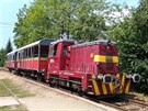 Motorová lokomotiva T212.0586 spolenosti Railway Capital v ele výletního...