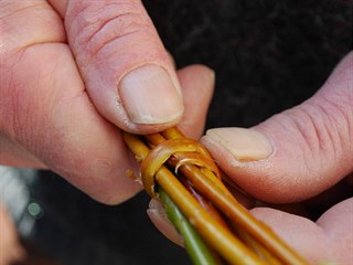 Slovo pomlázka vzniklo pravděpodobně od slova pomladit. Šlehání dívek pak...