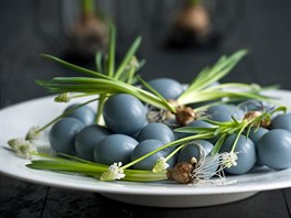 Holubí modř vypadá na vaječných skořápkách také moc pěkně. Když takto nabarvená...
