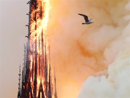 Poár katedrály Notre-Dame v Paíi (15. 4. 2019)
