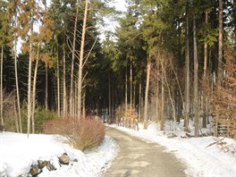 Fotografie jednoho z míst olomoucké zoologické zahrady na Svatém Kopeku...