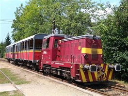 Motorov� lokomotiva T212.0586 spole�nosti Railway Capital v �ele v�letn�ho...