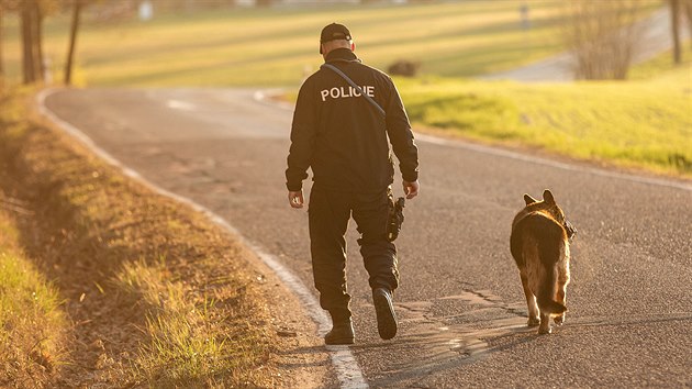 U obce Slavoov  Blakov skonilo auto na stee, policejn psovod hled dajnho idie (19. dubna 2019).