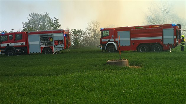 U poru lesnho porostu u ee u Prahy zasahuje dvanct jednotek hasi (19. dubna 2019).