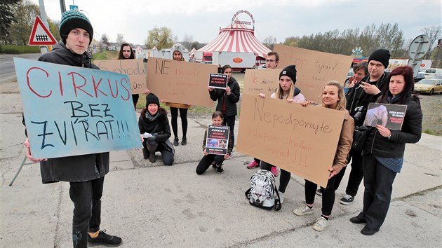 Protest aktivist za cirkusy bez zvat ped stanovitm cirkusu Berousek originl cirkus Sultn v Karlovch Varech na Zpadn ulic (13. 4. 2019).
