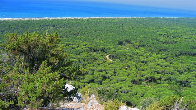 Přírodní park Maremma, výhled od věže Castelmarino k pobřeží