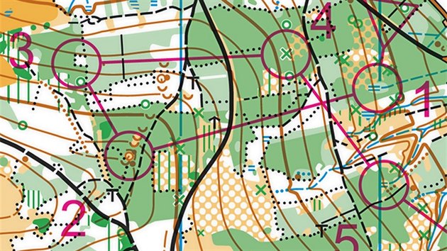 Toto je ukázka velmi podrobné mapy pro orientační běžce. Ti v ní dokážou vyčíst, kde je v lese například vývrat (zelený křížek) nebo výrazný strom (zelený kroužek). Takovéto zmapování jednoho čtverečního kilometru vyjde na 16 tisíc korun.
