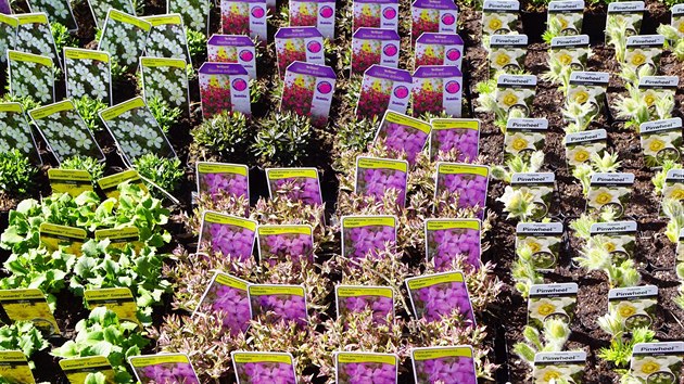 Nejvt jarn zahradnick veletrh v kraji prv zan, spojen vstavy Trnice Zahrady ech a Bydlen na Zahrad ech opt lkaj chalupe, kutily a zahrdke na litomick vstavit. Snmek z dvjho ronku.