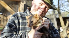 Vedoucí zví�ecí záchranné stanice v Pate�ín� Ond�ej Csik s jedním ze zví�at, o...