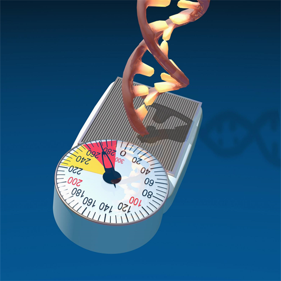 Obezita má svou genetickou sloku, o tom dnes není sporu. Velké potíe...