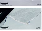 Srovnání satelitních snímk kolonie tuák na Antarktid z let 2015 a 2018