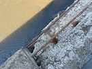 Z Chebskho mostu hroz odpadvn betonu na vodky