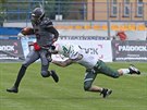 Reggie Langford (vlevo) z Vysoina Gladiators v zápase s Brno Alligators