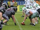 Momentka ze zápasu Vysoina Gladiators - Brno Alligators