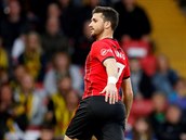 Shane Long ze Southamptonu se raduje z brzkho glu na hiti Watfordu.