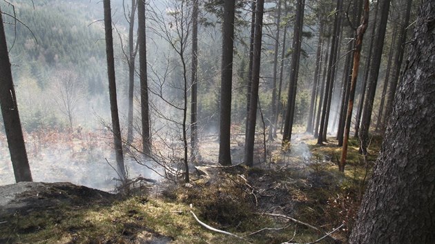 Požár likvidovalo osm českých a tři polské jednotky hasičů. (20. dubna 2019)