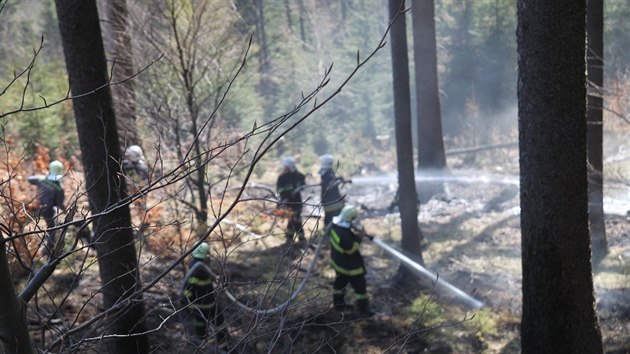 Hasiči požár dostali pod kontrolu po dvou a půl hodinách a zcela zlikvidovali za další dvě hodiny. S požárem bojovalo osm jednotek hasičů z Čech a tři jednotky hasičů z Polska. (20. dubna 2019)
