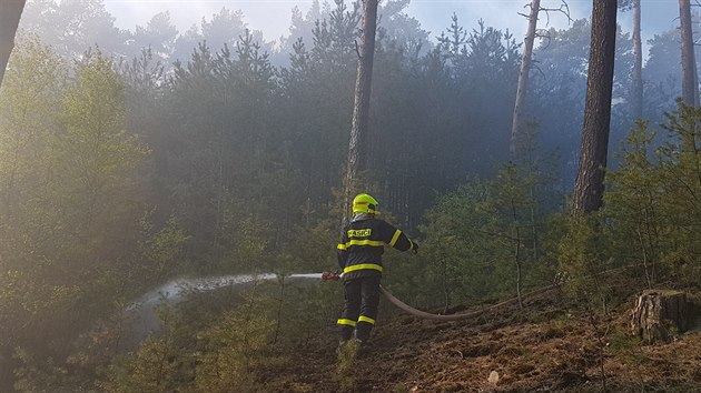 Na severním okraji Plzně směrem na vrch Krkavec hoří les. (22. 4. 2019)