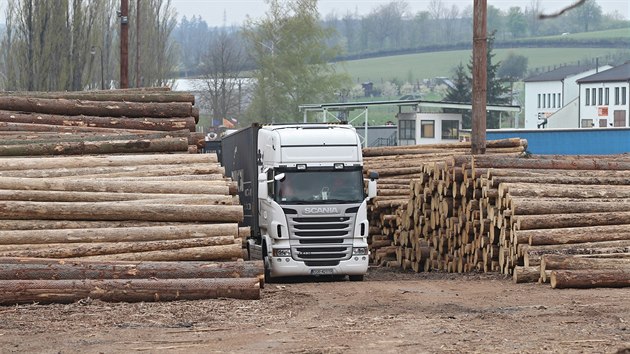 V lesích se těží násobně více dřeva, to je potom potřeba odvézt. Cestou ke skladu kulatiny v Okříškách ale přetížené kamiony ničí silnice, které na takovou zátěž nebyly stavěné.
