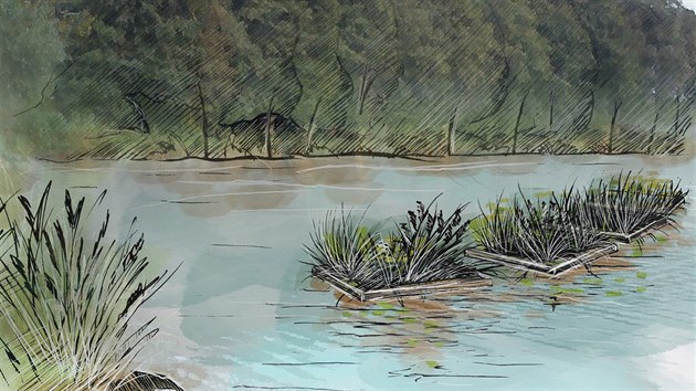 Vizualizace plovoucího ostrova na rybníce Rosnička