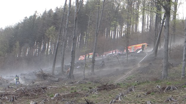 Celkem tinct jednotek profesionlnch a dobrovolnch hasi pedevm z Moravskoslezskho kraje zasahovalo u poru lesa u Trojanovic na ploe a 15 hektar. (26. dubna 2019)