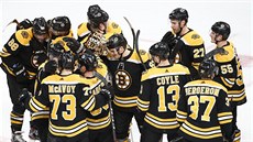 POSTUPOVÁ EUFORIE. Hokejisté Bostonu zvládli sedmý duel proti Torontu a jsou ve...