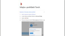 Torch Browser