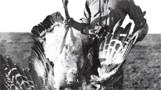 Richard Meinertzhagen v Keni, rok 1915