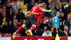 Shane Long ze Southamptonu se raduje z brzkého gólu na hiti Watfordu se...