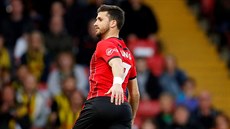 Shane Long ze Southamptonu se raduje z brzkého gólu na hiti Watfordu.