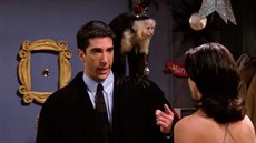 David Schwimmer a Courteney Coxová v seriálu Pátelé (1997)