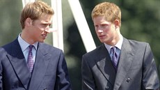 Princ William a princ Harry na otevení fontány vnované památce jejich matky...