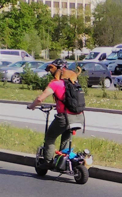 I takto se v Praze jezdí - se psem na rameni