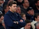 Tottenhamský trenér Mauricio Pochettino sleduje výkon svého celku v zápase...