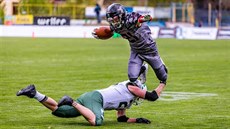 Gladiators peválcovali Aligátory, vítzství slaví i Pardubice a Prague Lions