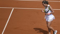 eská tenistka Barbora Strýcová v utkání 1. kola na praském turnaji.