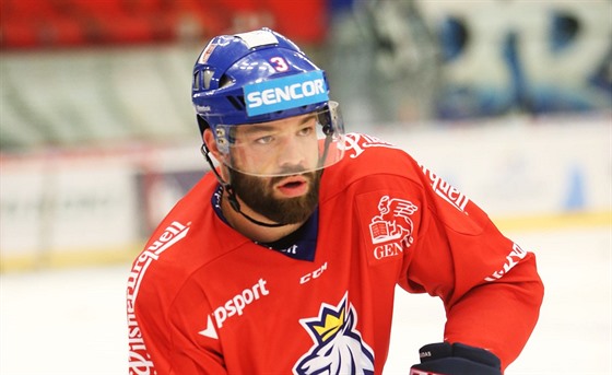 Radko Gudas